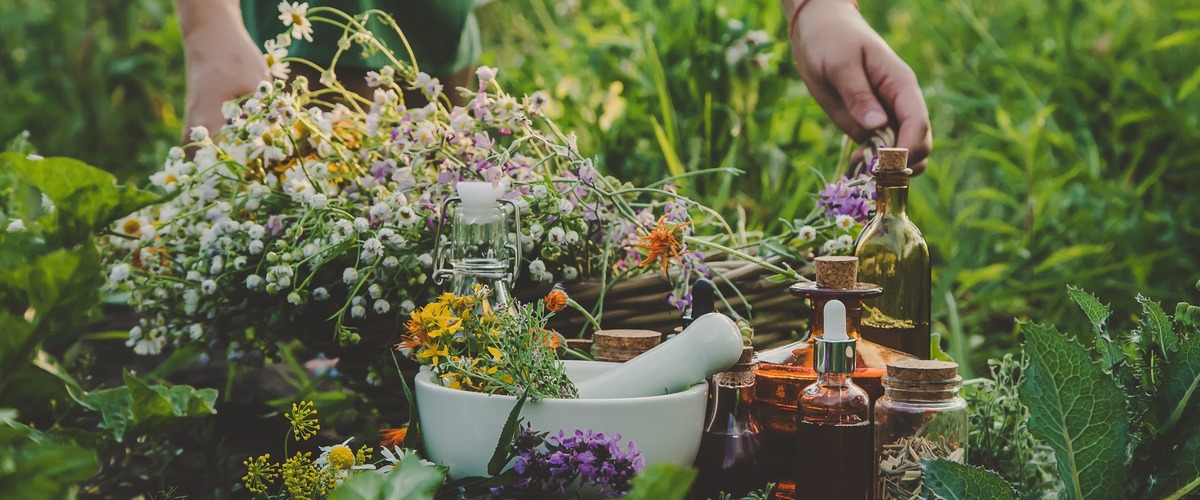 Bild zeigt Pflanzen, Kräuter und ähnliches verlinkt zum Blogbeitrag Naturheilverfahren – im Einklang mit der Natur